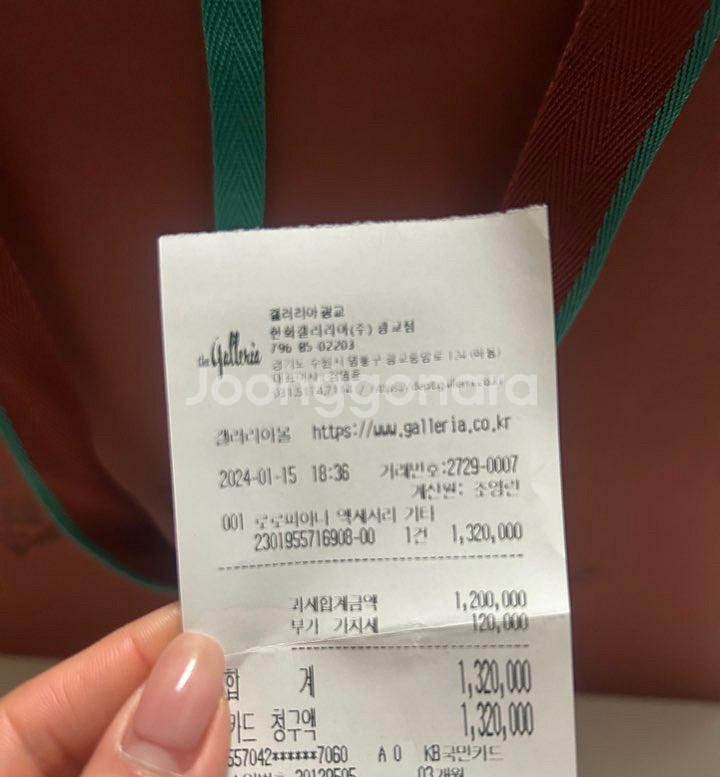로로피아나 플렉시--3