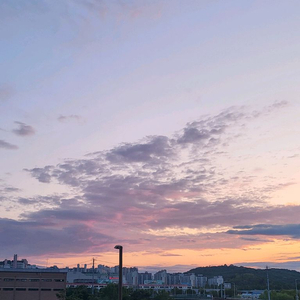 bl랜덤책 두권 싸게 판매