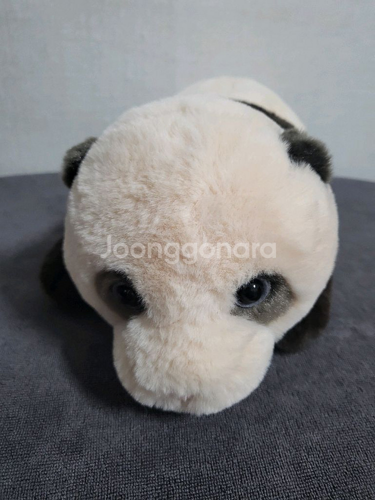 바오패밀리 루이후이 인형--1