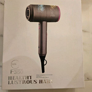 차이슨F350 헤어드라이기