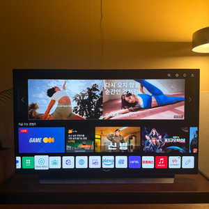 LG 올레드 48인치TV LGOLED48C1ENB
