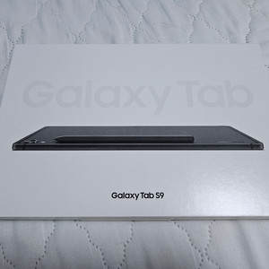 새상품급) 갤럭시탭 S9 256GB 256
