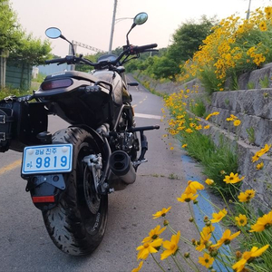 베넬리 레온치노500