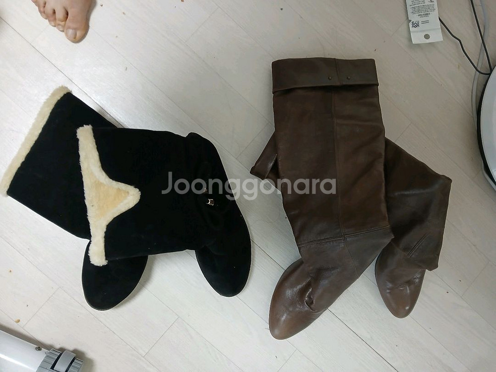 겨울부추정리 240--0