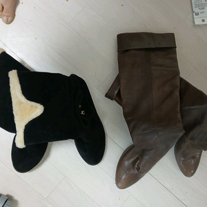 겨울부추정리 240