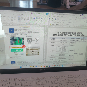 LG 그램 15인치 15ZD90N-VX50K