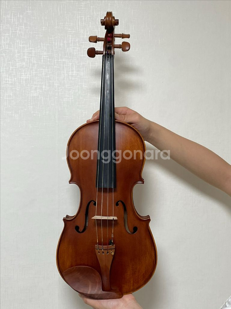 16인치 비올라--0