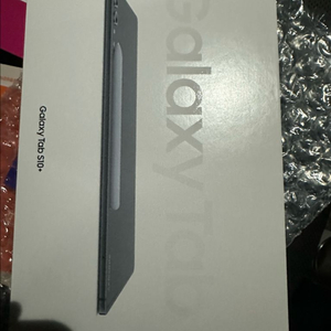 갤럭시 탭 s10플러스 256 wifi