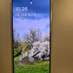 갤럭시 S21