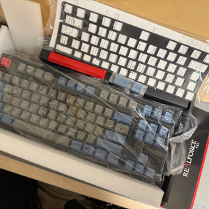 리얼포스 r2 tkl apc 저소음30g 한글+루프+키