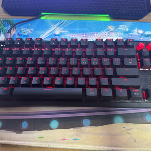 커세어 k70 pro tkl