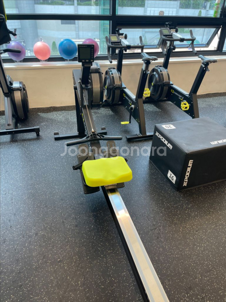 concept2 row erg 컨셉2 로잉머신정품--0