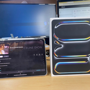 아이패드 프로13 M4 256 WiFi 애플펜슬프로