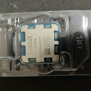 라이젠 9600x