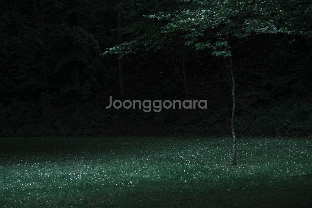 [S급] 후지필름 XF 18-120 F4 판매합니다--8