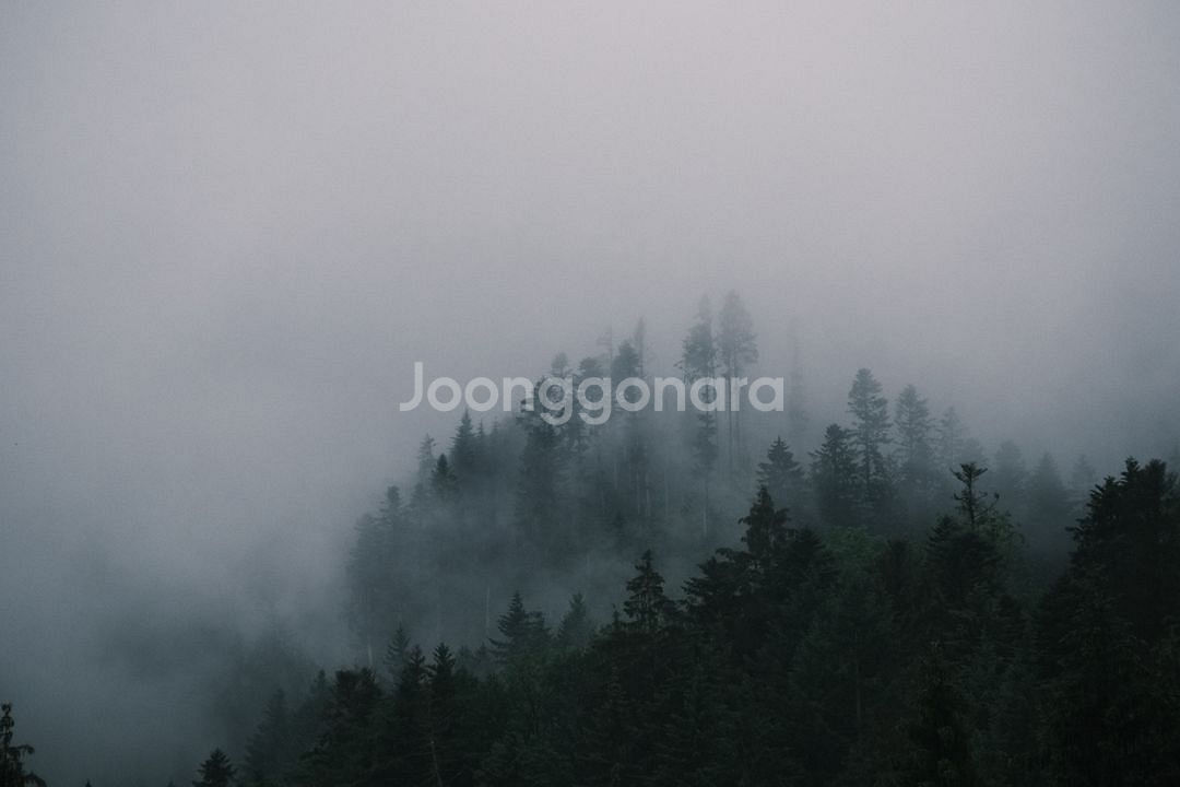 [S급] 후지필름 XF 18-120 F4 판매합니다--9
