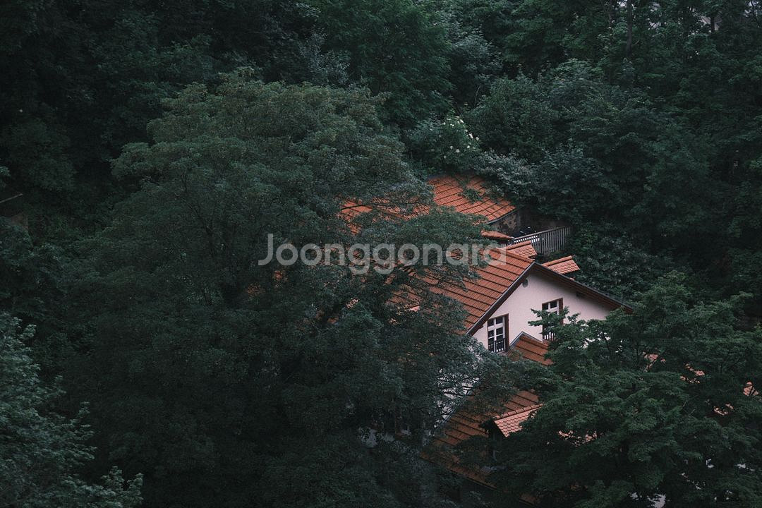[S급] 후지필름 XF 18-120 F4 판매합니다--7