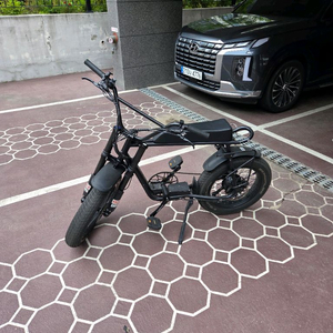 모페즈 1000w