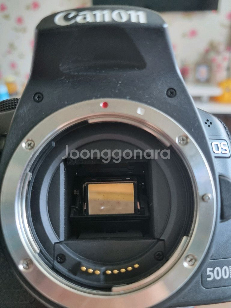 캐논 Eos 500D 18-55, Kit--3