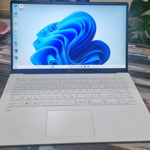 LG 그램15Z90N-VP70ML