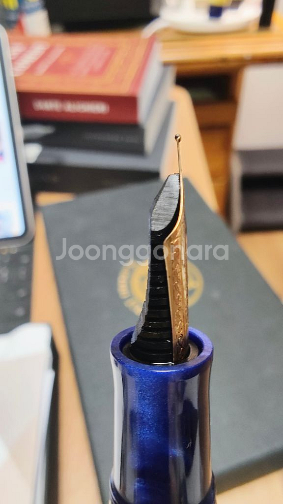 산티니(Santini) 만년필 18K f촉 판매합니다.--3