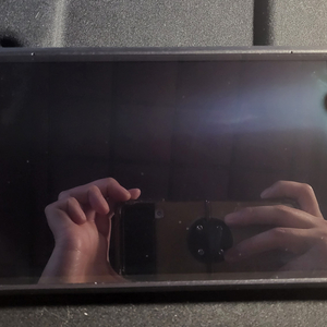 스팀덱 oled 512gb