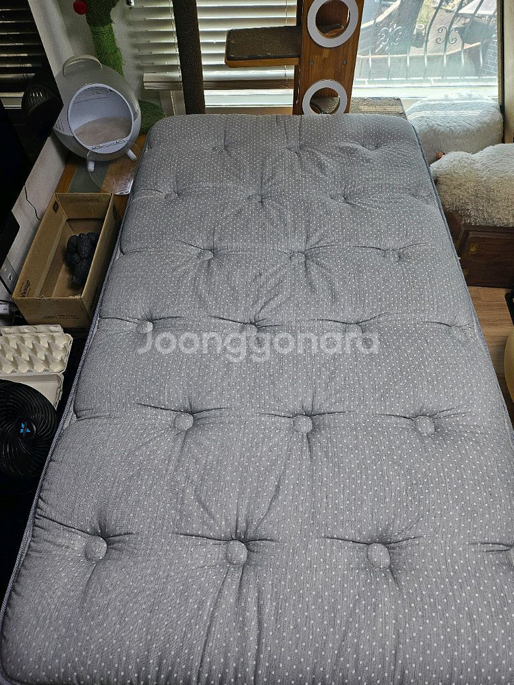 시몬스 헨리ss + D2178B (21년산)--0