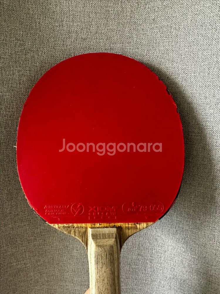 탁구라켓+라켓케이스--0