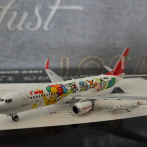 T-way Air B737-800 HL8306