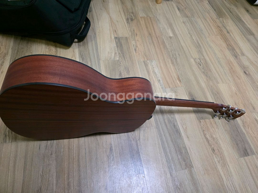 HEX HIVE F100M 기타랑 가방--1