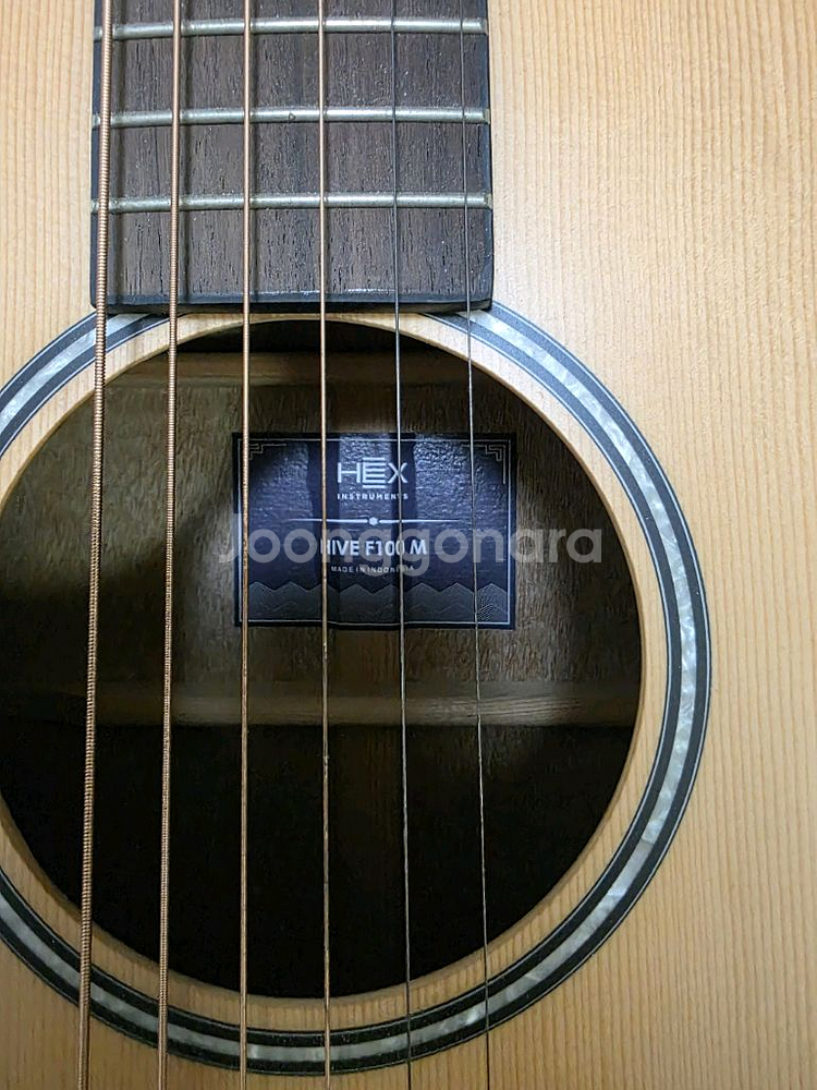 HEX HIVE F100M 기타랑 가방--2