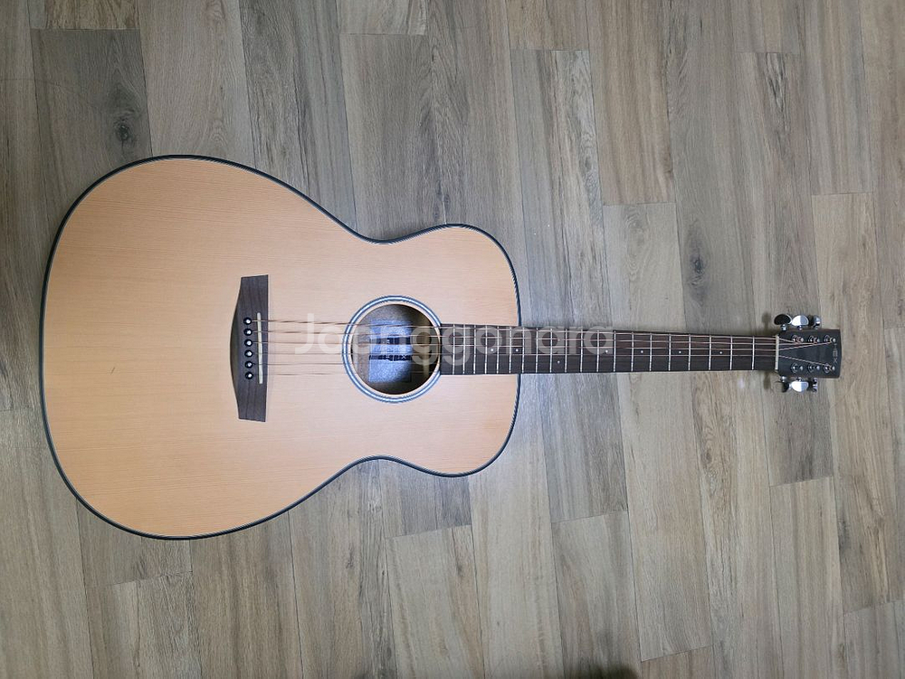 HEX HIVE F100M 기타랑 가방--0