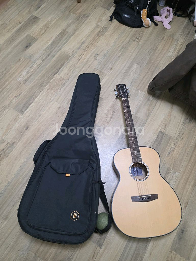 HEX HIVE F100M 기타랑 가방--3