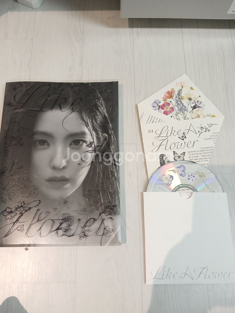 아이린 앨범--0