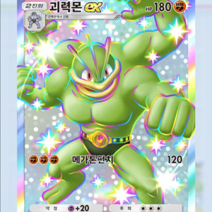 메리플랜드 월드코인 구매
