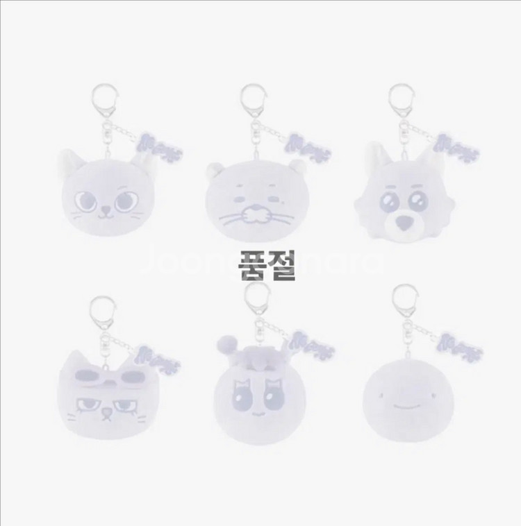 보넥도 노장르 키링 -태산 (+포카)--0