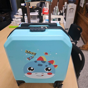 케리어가방