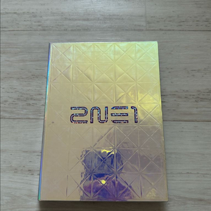 2ne1 앨범 1집 앨범