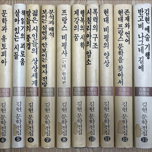 김현 문학 전집