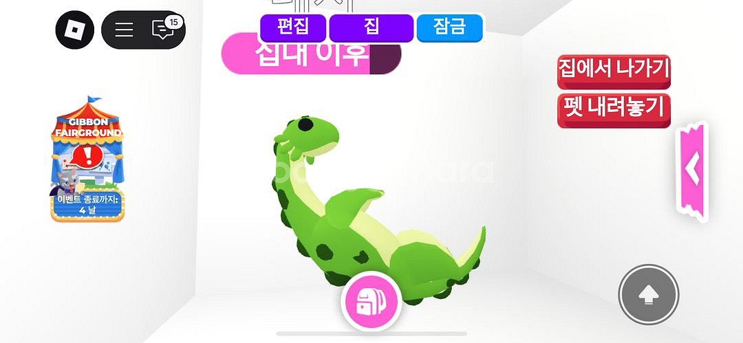 입양하세요//엑소틱 네시 팔아요!--0