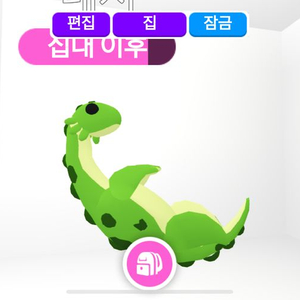 입양하세요//엑소틱 네시 팔아요!