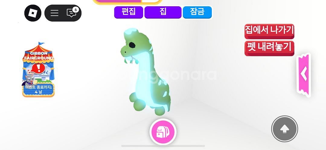 입양하세요//네타브하키오 사후르스 양도--0