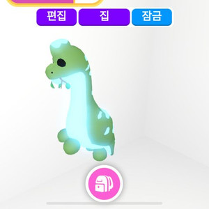 입양하세요//네타브하키오 사후르스 양도