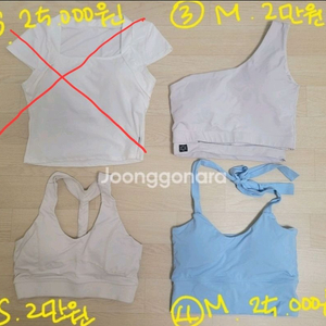 sl 에스엘 스포츠 폴댄스옷 폴웨어 여자 운동복 반팔티