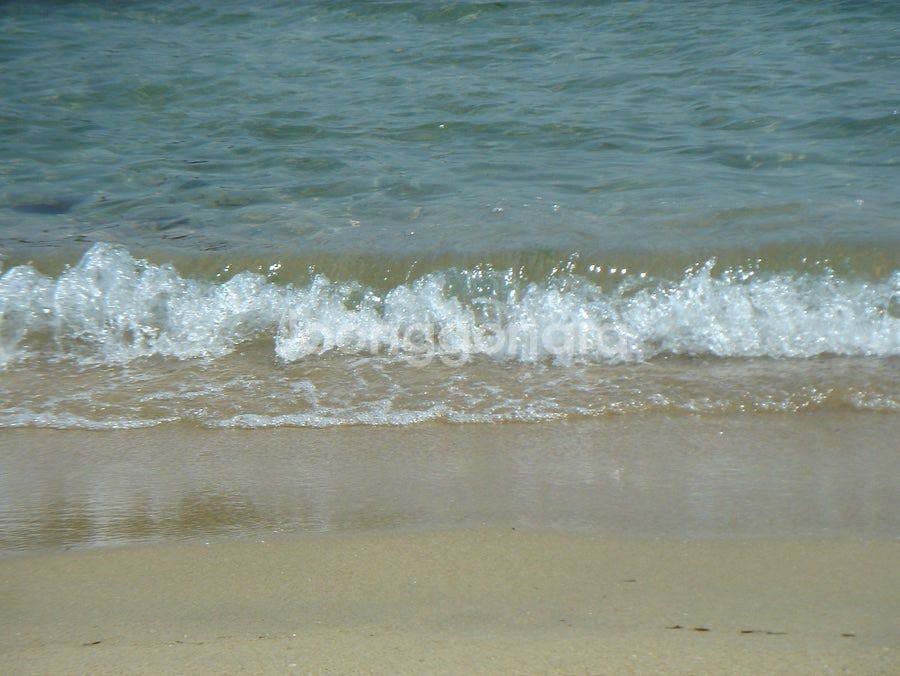 소니 f-88 회전형 디카 / 상태좋음 / 정상작동--8