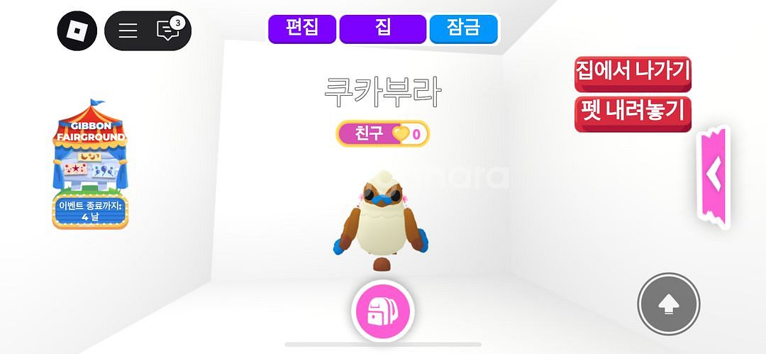 입양하세요//엑소틱 펫 쿠카부라 양도--1