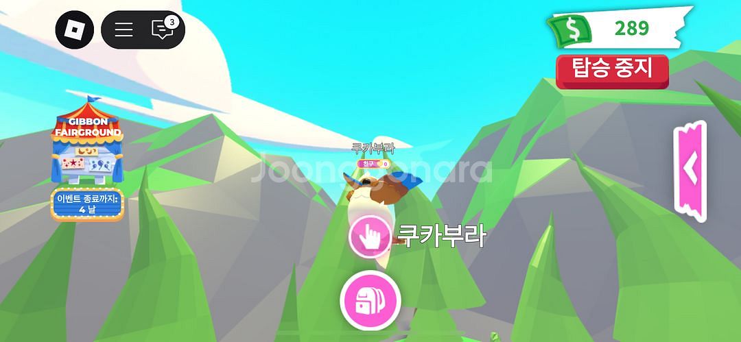 입양하세요//엑소틱 펫 쿠카부라 양도--2