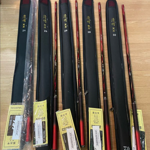 다이와 청명 레이카