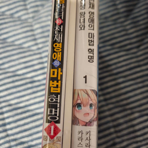 전생왕녀와천재영애의마법혁명 합본판