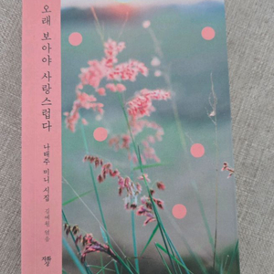 나태주 미니시집 외1권